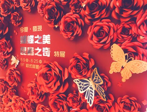 SOGO｜台北蝴蝶展