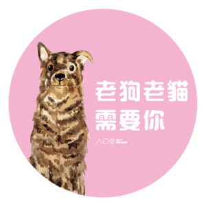 台北市動物保護處-犬貓認養感恩活動-圖7