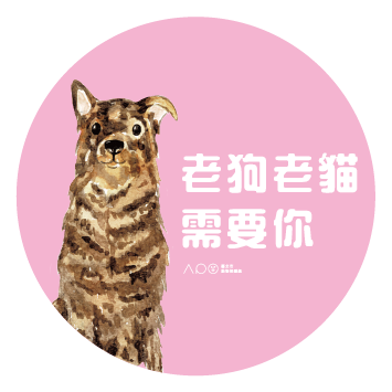 台北市動物保護處-犬貓認養感恩活動-圖7