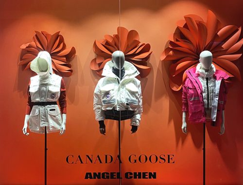 加拿大鵝Canada Goose｜櫥窗佈置